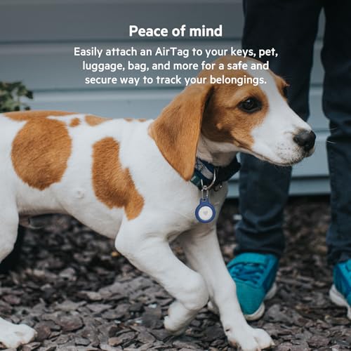 Belkin Apple AirTag Secure Holder with Key Ring - Durable Scratch Resistant Case with Open Face & Raised Edges - Protective AirTag Keychain Accessory for Keys, Pets, Luggage, Backpacks - 4-Pack Blue