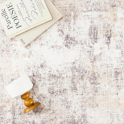 Amazon 6x9 Washable Area Rug Beige Grey Neutral Abstract Living Room Bedroom Large Throw Rug Non Slip Soft Low Pile Indoor Floor Carpet for Dining Room Kitchen Office Entryway