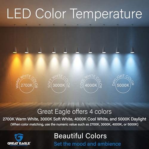 Amazon Great Eagle A19 LED Light Bulbs 60 Watt Equivalent - UL Listed - Cool White 4000K LED Light Bulb - 9W Non Dimmable, 800 Lumens (6 Pack)