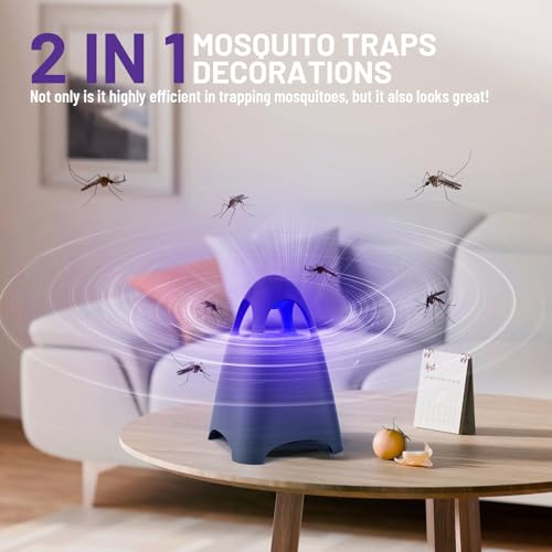Amazon Fruit Fly Traps for Indoors, Bug Zapper Indoor, Home Gnat Traps House, 5 Sticky Glue Boards, Effective gnat Traps for House Indoor (Black)