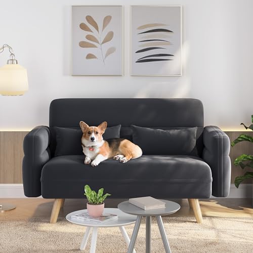Amazon Yaheetech 46" Small Modern Fabric Sofa Loveseat Mid Century 2 Seater Sofa Couch with Lumbar Pillows, Solid Wood Legs for Living Room, Small Space, Dorm, Office, Bedroom, Dark Gray