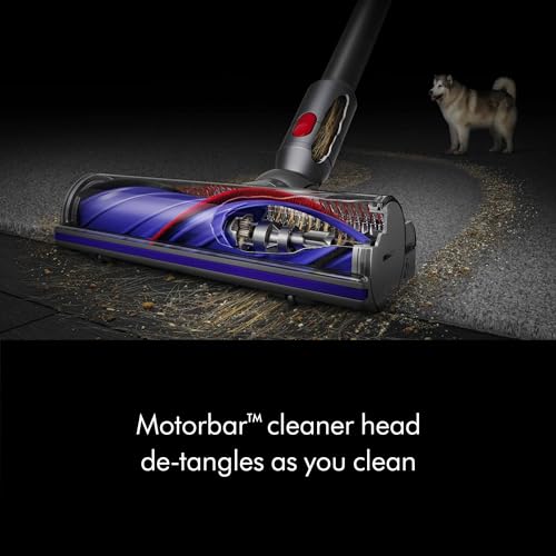 Amazon Dyson V8 Plus Cordless Vacuum, Silver/Nickel