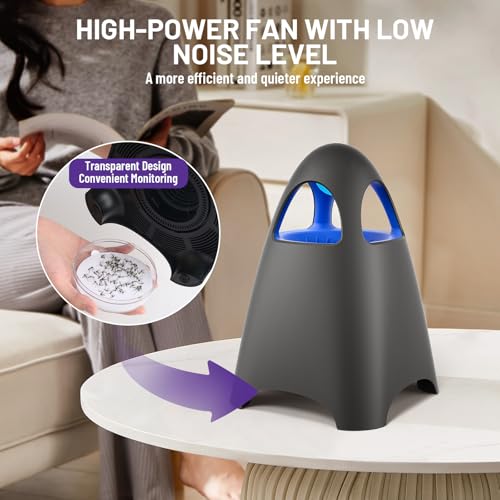 Amazon Fruit Fly Traps for Indoors, Bug Zapper Indoor, Home Gnat Traps House, 5 Sticky Glue Boards, Effective gnat Traps for House Indoor (Black)