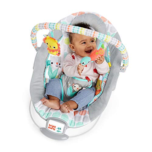 Bright Starts Comfy Baby Bouncer Soothing Vibrations Infant Seat - Taggies, Music, Removable -Toy Bar, 0-6 Months Up to 20 lbs (Whimsical Wild)