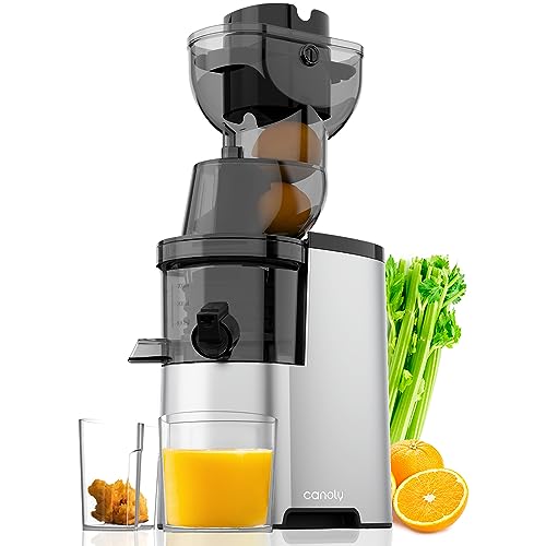 Masticating Juicer Machines, 3.5-inch (88mm) Powerful Slow Cold Press Juicer with Large Feed Chute, Electric Masticating Juicers for Vegetables and Fruits, Easy to Clean with Brush