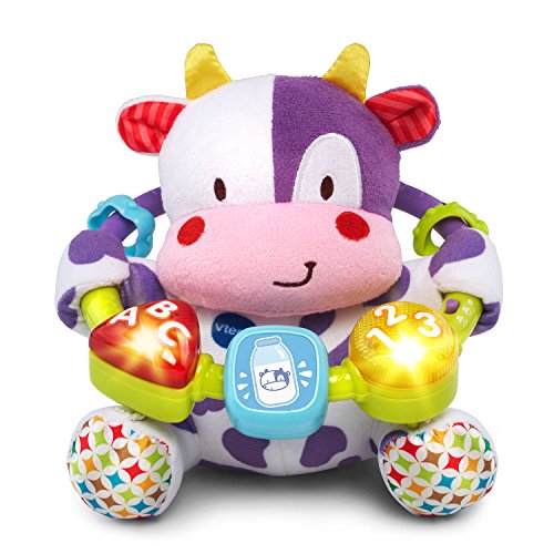 VTech Baby Lil' Critters Moosical Beads Amazon Exclusive, Purple Small