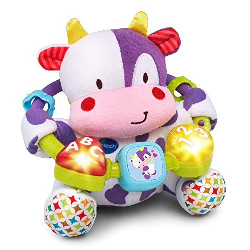 VTech Baby Lil' Critters Moosical Beads Amazon Exclusive, Purple Small