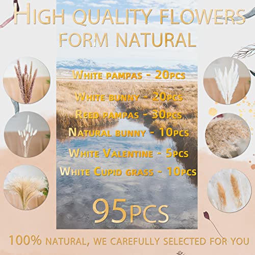 95 PCS Natural Pampas Grass Decor Bouquet | Boho Dried Floral Arrangement Centerpiece Table Decor Wedding Decor Rustic Decor (95PCS)