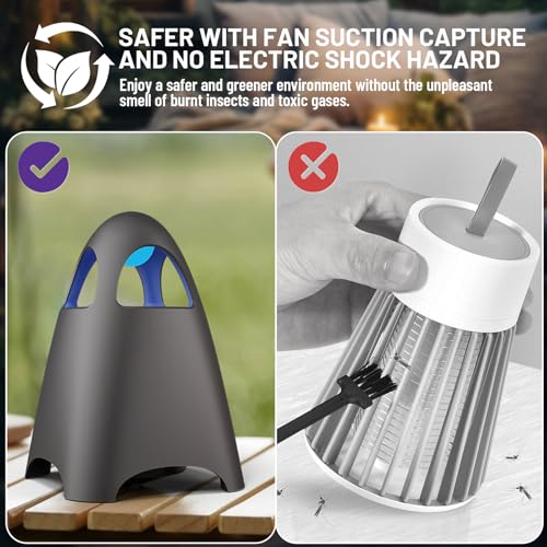 Amazon Fruit Fly Traps for Indoors, Bug Zapper Indoor, Home Gnat Traps House, 5 Sticky Glue Boards, Effective gnat Traps for House Indoor (Black)