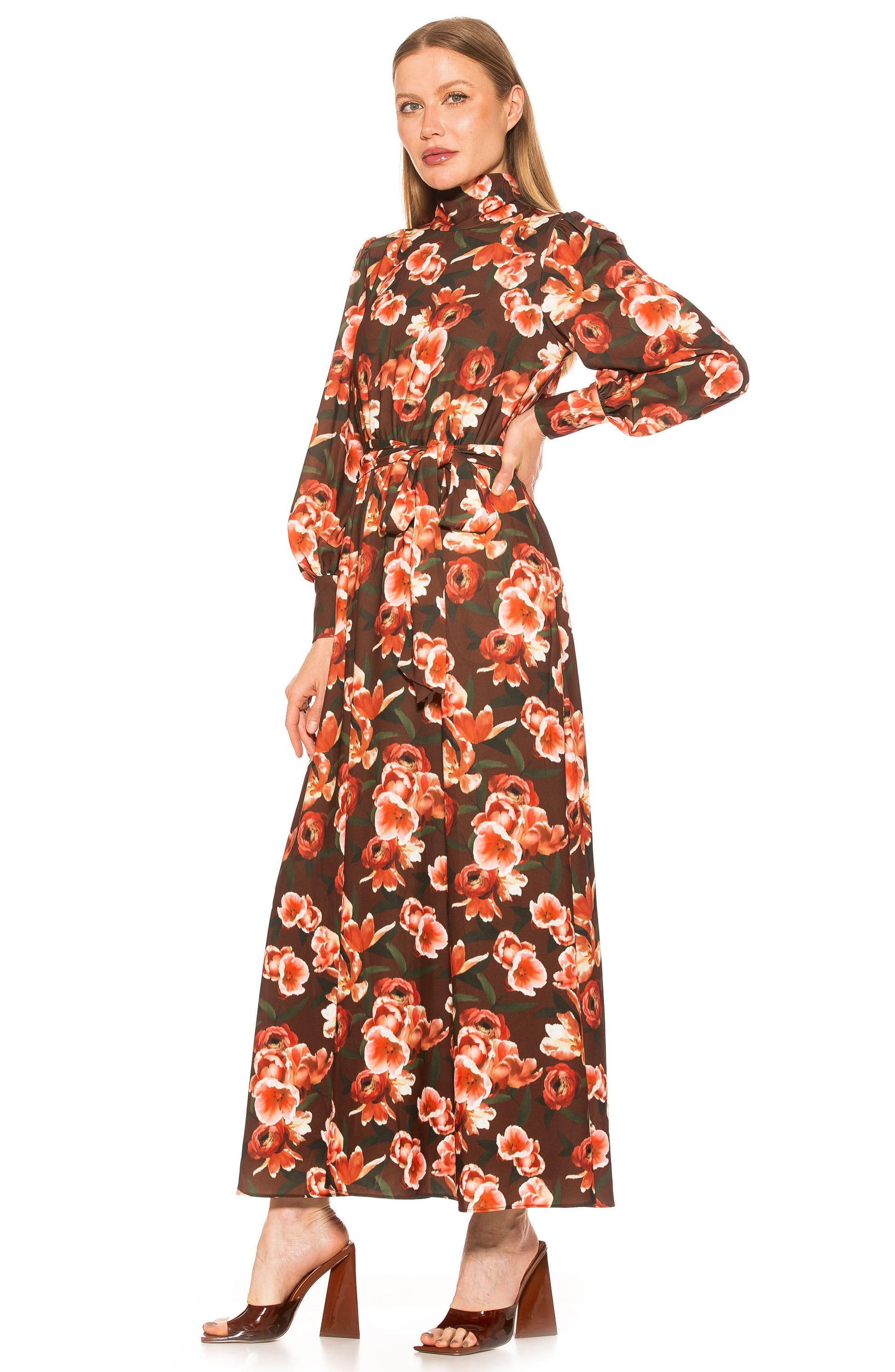 Alexia Admor Saliah Mockneck Blouson Sleeve Dress, Alternate, color, BROWN FLORAL